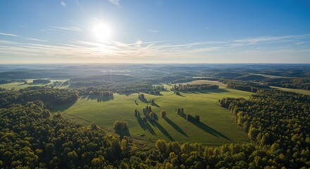 Aerial View of a Sunlit Green Field and Forest