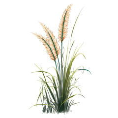 Elegant Illustration of Tall Ornamental Grass Bending in the Breeze, Showcasing Natural Beauty and Serenity with a Touch of Artistic Flair