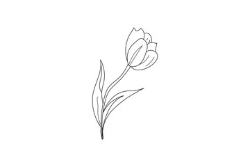 Elegant minimalist tulip modern flower   line art on white background