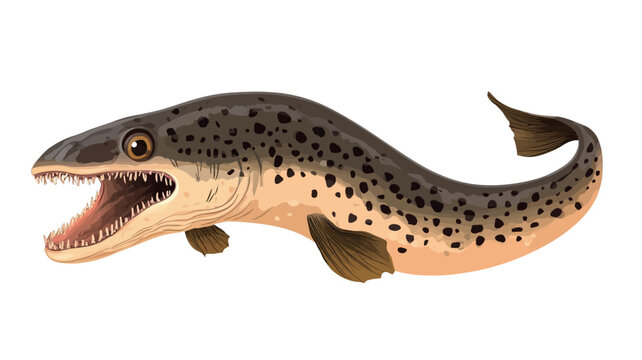 A detailed digital illustration of Dunkleosteus terrelli, an extinct placoderm from the Devonian period. The illustration shows the fish in three-quarter profile against a pure white background.