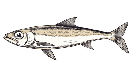A detailed greyscale pencil or ink illustration of a sardine-shaped fish in profile, showing its elongated body, prominent eyes, and distinct scales.