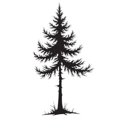 Beyond its commercial uses, Sitka spruce forests provide important habitat for wildlife and have been used by Indigenous peoples for food (young shoots and inner bark), medicine, and crafting items 