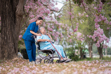 Nurse caregiver with elderly woman enjoying beneath blooming trees. suggesting in healthcare...