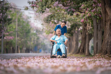Nurse caregiver with elderly woman enjoying beneath blooming trees. suggesting in healthcare...