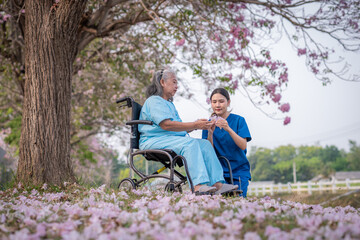 Nurse caregiver with elderly woman enjoying beneath blooming trees. suggesting in healthcare...