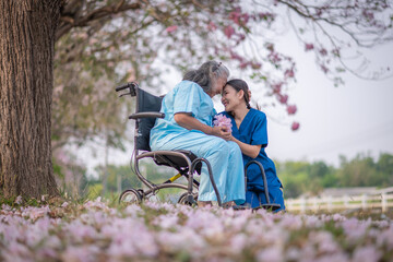 Nurse caregiver with elderly woman enjoying beneath blooming trees. suggesting in healthcare...