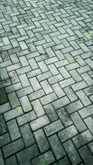 Herringbone Patterned Pavement, A Textured Stone Path with Urban Appeal