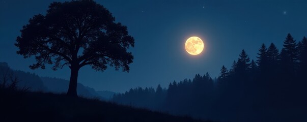 Dark forest giant tree silhouette against moonlight sky, nature, mysterious