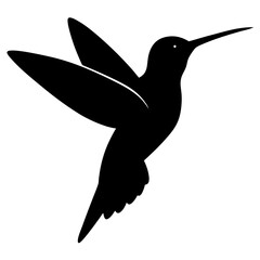 vector illustration of a bird