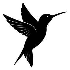 vector illustration of a bird