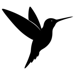 vector illustration of a bird