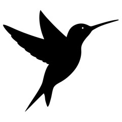 vector illustration of a bird