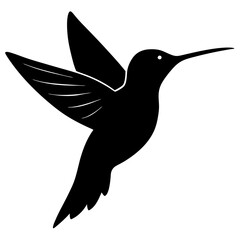 vector illustration of a bird