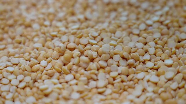 Yellow toor dal , toor dhal or dal slow motion footage. Indian food