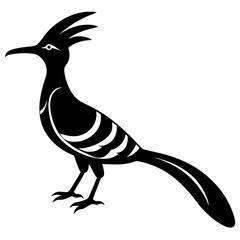 vector illustration of Hoopoes 
