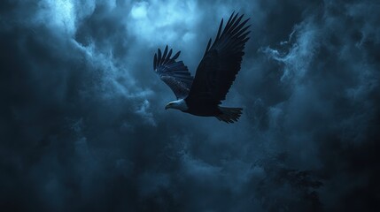 Fototapeta premium Bald eagle soars through the ominous, dark blue, cloudy sky at night. It's perfect for conveying themes of freedom, strength and power.