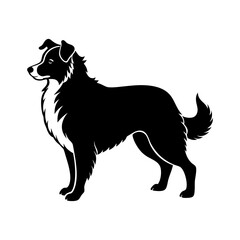 australian-shepherd-vector-silhouette illustration