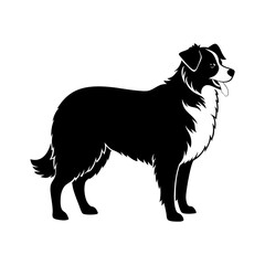 australian-shepherd-vector-silhouette illustration
