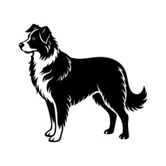 australian-shepherd-vector-silhouette illustration