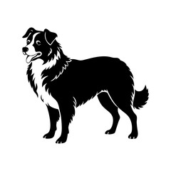 australian-shepherd-vector-silhouette illustration