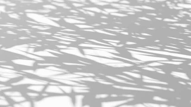 木々の葉の間から差す光と影 木漏れ日 穏やかに吹く風