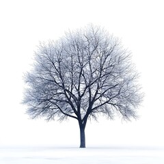 Fototapeta premium Solo leafless tree standing in snow-covered landscape with cloudy sky creating a peaceful winter scene with high contrast and natural beauty