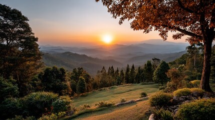Golden sunset over mountain range with trees in the foreground. Hazy landscape