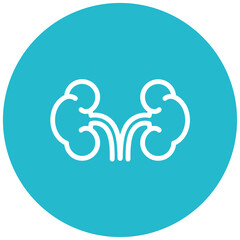 Kidneys Icon
