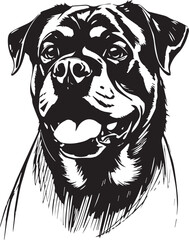 Rottweiler, rottie Peeking Dog,black vector silhouette illustration on white background