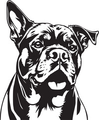 Rottweiler, rottie Peeking Dog,black vector silhouette illustration on white background