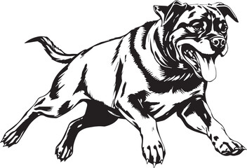 Rottweiler, rottie Peeking Dog,black vector silhouette illustration on white background