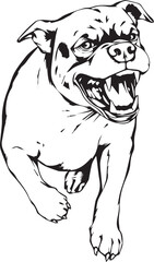 Rottweiler, rottie Peeking Dog,black vector silhouette illustration on white background