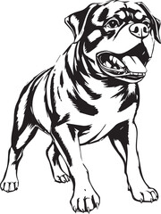 Rottweiler, rottie Peeking Dog,black vector silhouette illustration on white background
