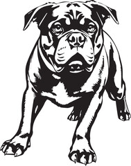 Rottweiler, rottie Peeking Dog,black vector silhouette illustration on white background