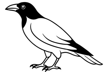 Obraz premium crow on a white background