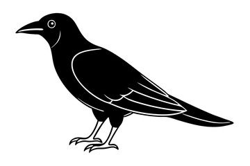 Obraz premium crow on a white background