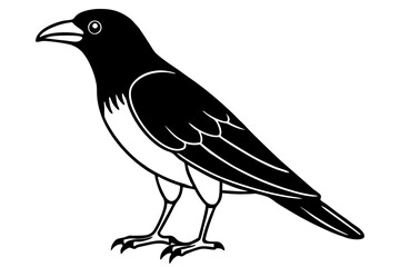 Obraz premium crow on a white background