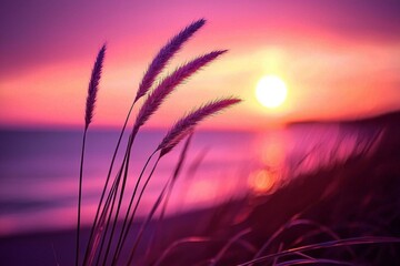 Close-up of delicate grass stem at sunset over tranquil sea.