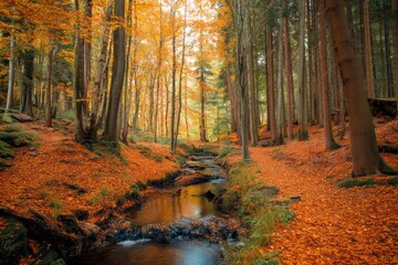 Obraz premium Autumn Forest with Red Leaves and Reflective Stream in High Definition