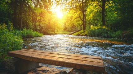 Wooden bench by a flowing stream in a sunlit forest