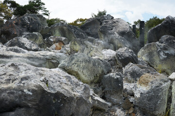 硫黄のついた八幡地獄
