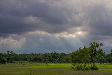 Fototapeta premium Dramatic sunlight breaking through clouds over lush green landscape nature photography outdoor scene tranquil atmosphere