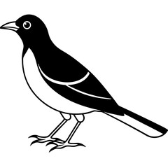 bird on a branch