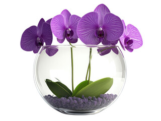 Elegant Purple Orchids in a Glass Bowl: A Stunning Floral Arrangement