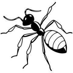 vector illustration of cartoon ant