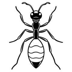 vector illustration of cartoon ant
