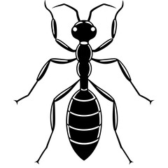 vector illustration of cartoon ant