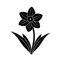 daffodil-vector-silhouette illustration
