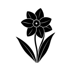 daffodil-vector-silhouette illustration