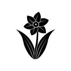 daffodil-vector-silhouette illustration